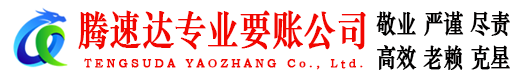 湖口腾速达清债公司